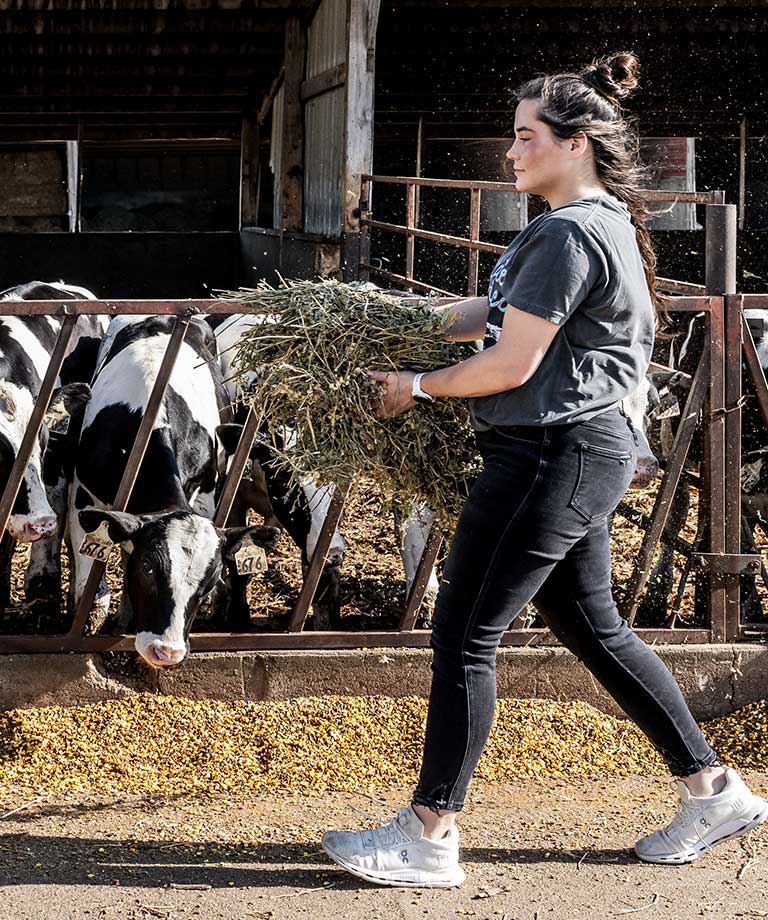 A day in the life of our farmers