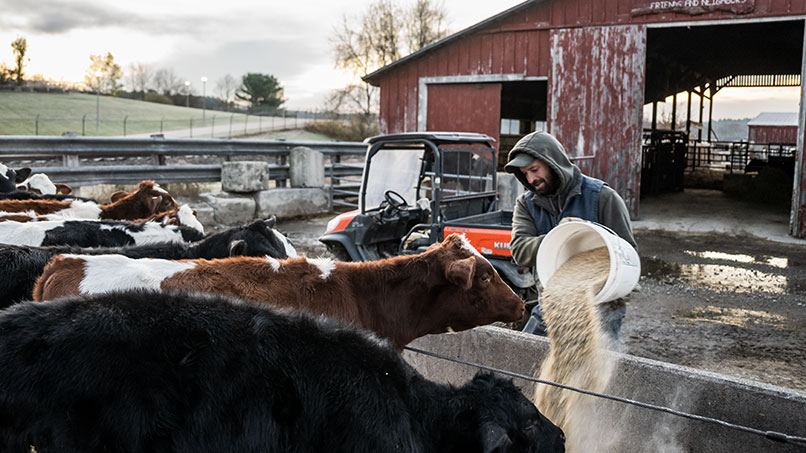 251103_MorrillFarmDairy_22_806x453px.jpg 251103_MorrillFarmDairy_22_806x453px.jpg