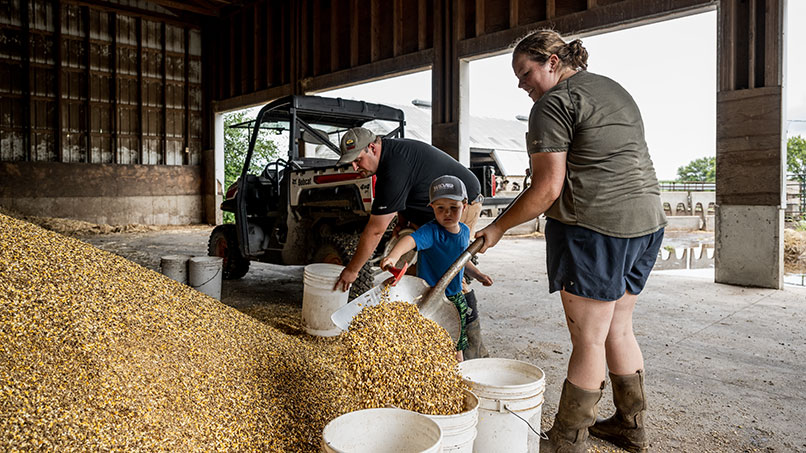 250724_CornBeltDairy_102_806x453px.jpg 250724_CornBeltDairy_102_806x453px.jpg