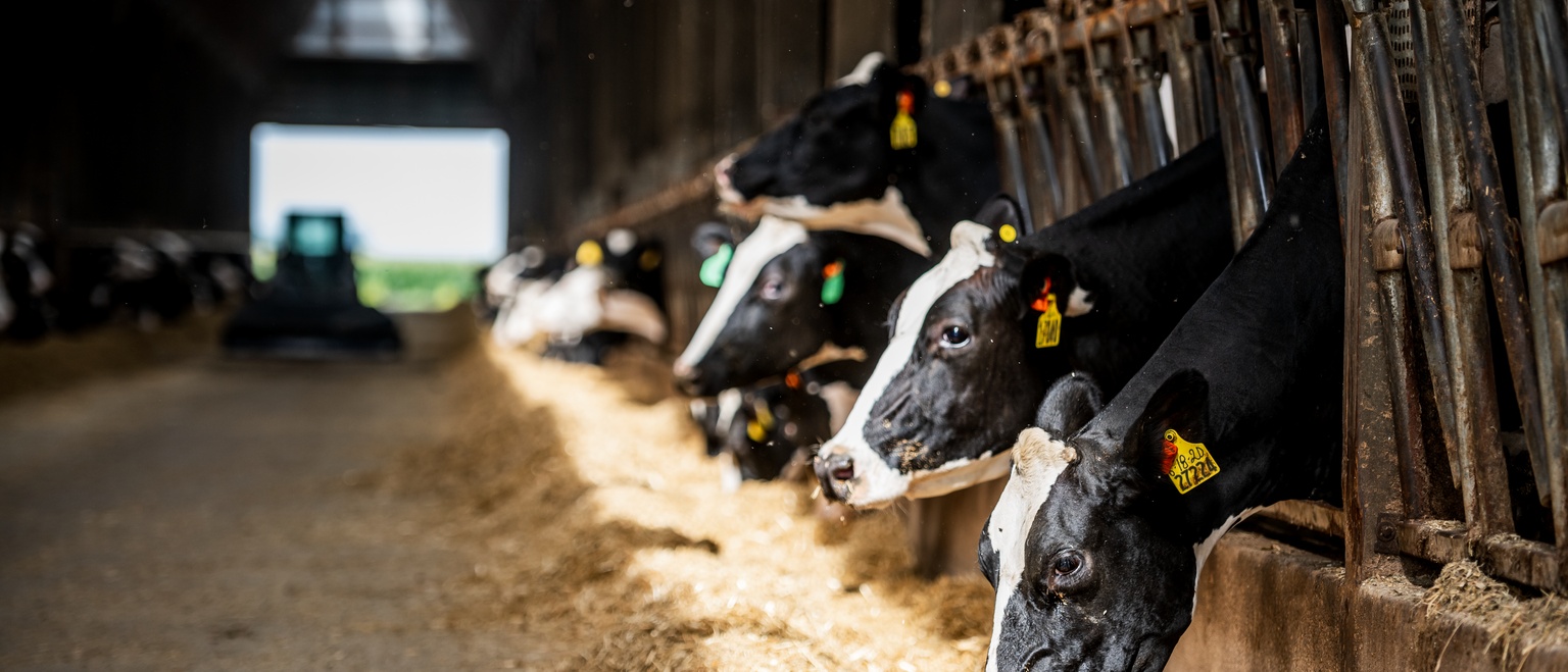 DFA milk contracts in Northeast